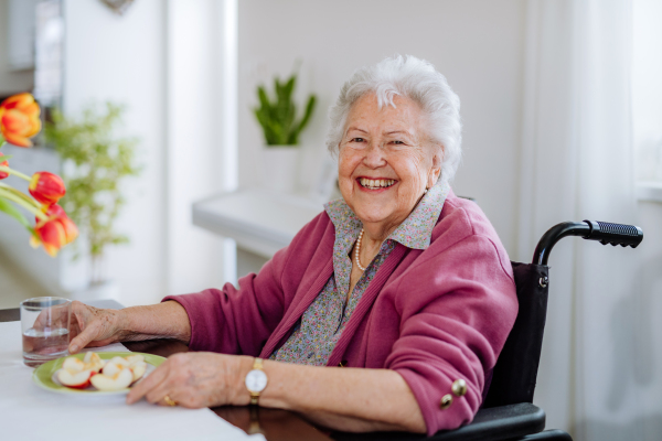 Portrait of senior woman on the wheelchair.