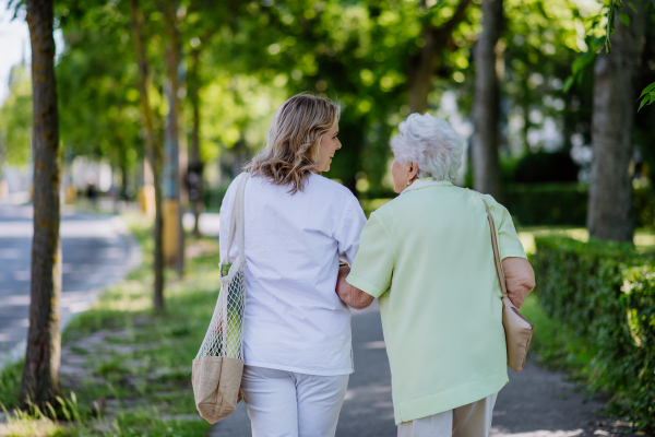 A rear view of caregiver with senior woman on walk with walker in park with shopping bag.