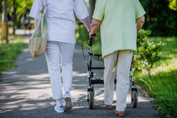 A rear view of caregiver with senior woman on walk with walker in park with shopping bag.