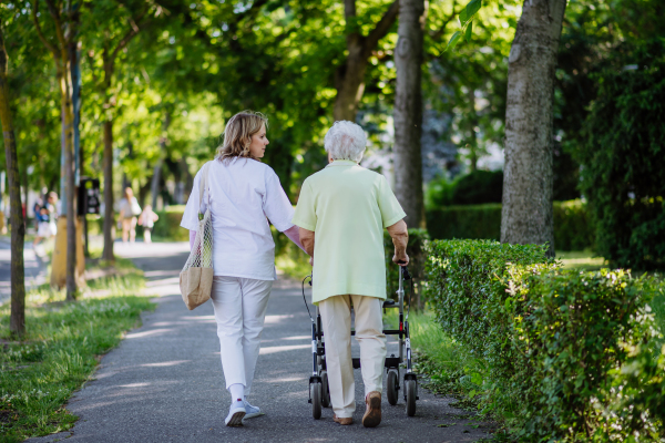 A rear view of caregiver with senior woman on walk with walker in park with shopping bag.