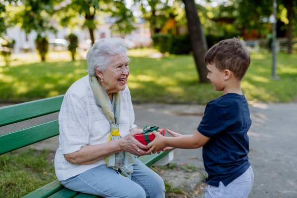 A grandchild surprised her grandmother with a birthday present in the park. Lifestyle, family concept