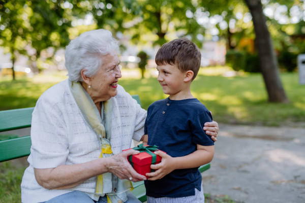 A grandchild surprised her grandmother with a birthday present in the park. Lifestyle, family concept