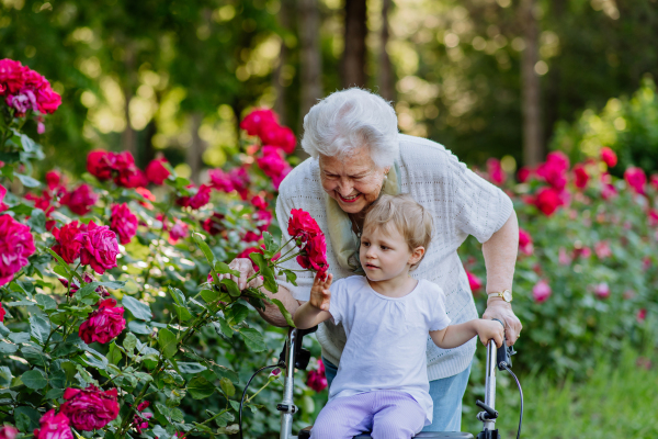 A great grandmother on walk with walker with her granddaughter in park in summer , generation family concept.