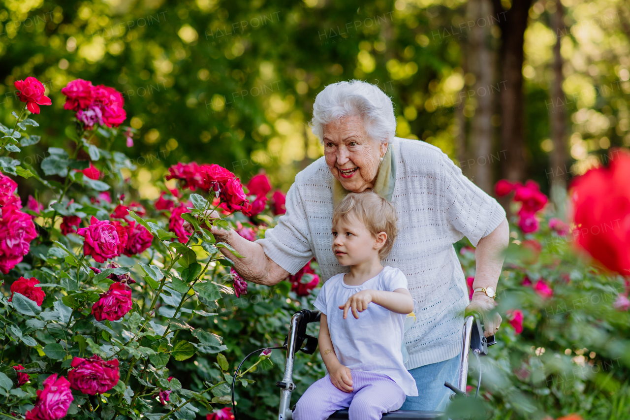 A great grandmother on walk with wwalker with her granddaughter in park in summer , generation family concept.