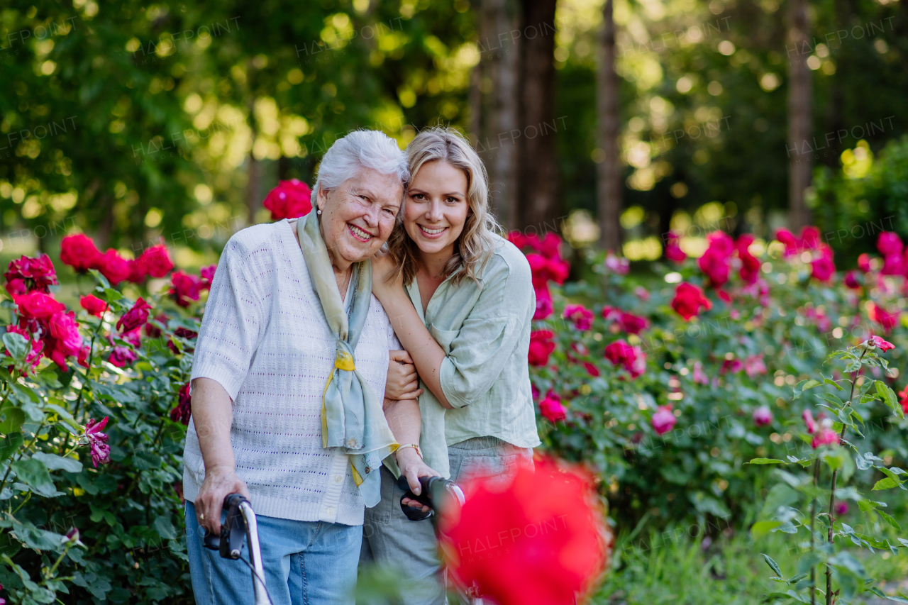 A portrait of adult granddaughter with senior grandmother on walk in park, with roses at background