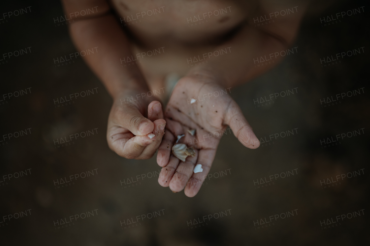 Close up of seashells in boy's palm with pruney fingers. Seraching for shells in the sand. Concept of summer vacation by sea.