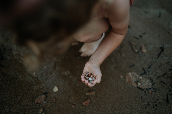 Close up of seashells in boy's palm with pruney fingers. Seraching for shells in the sand. Concept of summer vacation by sea.