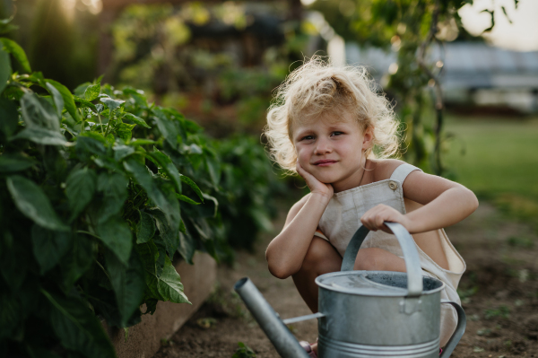 Little girl squatting by raised garden bed, holding metal watering can. Caring for a vegetable garden and growing, planting spring vegetables.