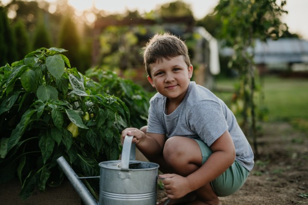 Young boy squatting by raised garden bed, holding metal watering can. Caring for a vegetable garden and growing, planting spring vegetables.