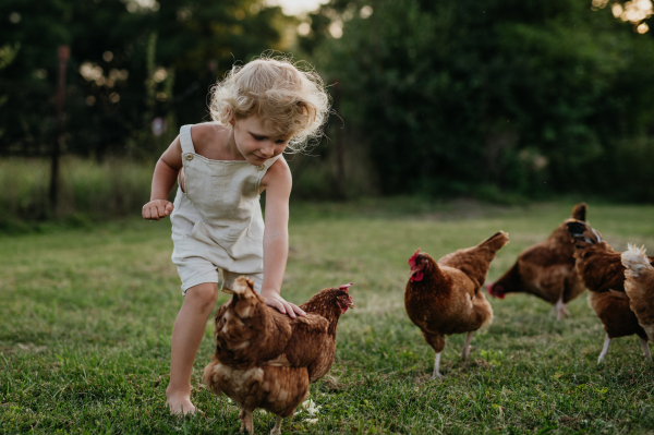 Little girl chasing chickens on a farm, running. Having fun during the holidays at her grandparents' countryside home.