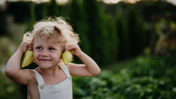 Girl holding green bell peppers as earrings. Caring for vegetable garden and growing, planting spring vegetables.