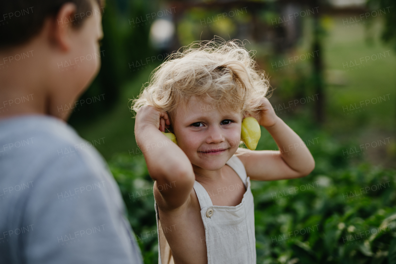 Girl holding green bell peppers as earrings. Caring for vegetable garden and growing, planting spring vegetables.