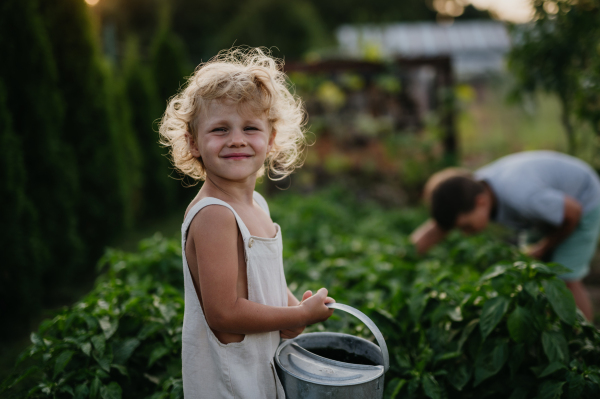 Siblings taking care, watering raised garden bed with watering can. Caring for a vegetable garden and growing, planting spring vegetables.