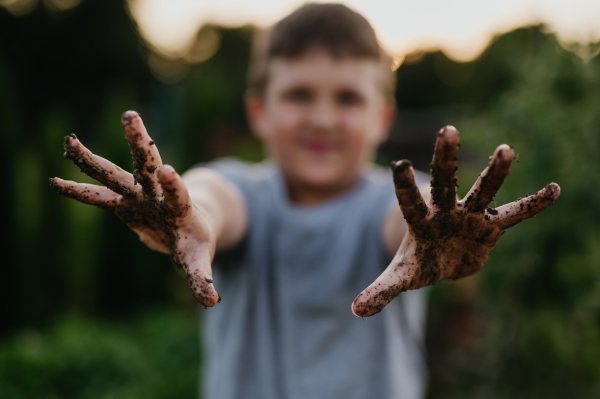 Boy has dirty hands after work in garden, showing soil on palms. Caring for a vegetable garden and growing, planting spring vegetables.