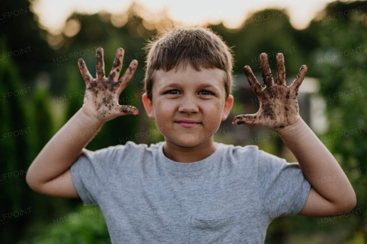 Boy has dirty hands after work in garden, showing soil on palms. Caring for a vegetable garden and growing, planting spring vegetables.