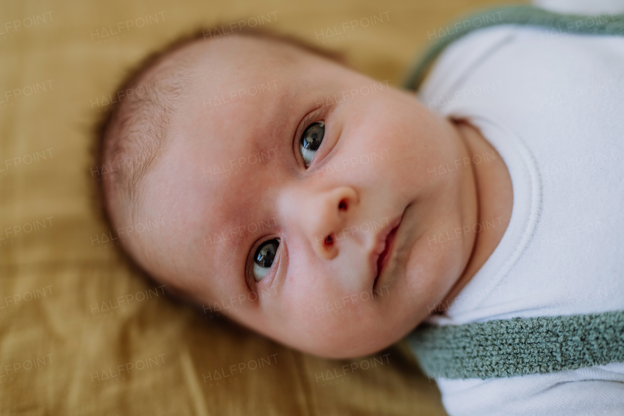 Portrait of a baby lying in a bed.