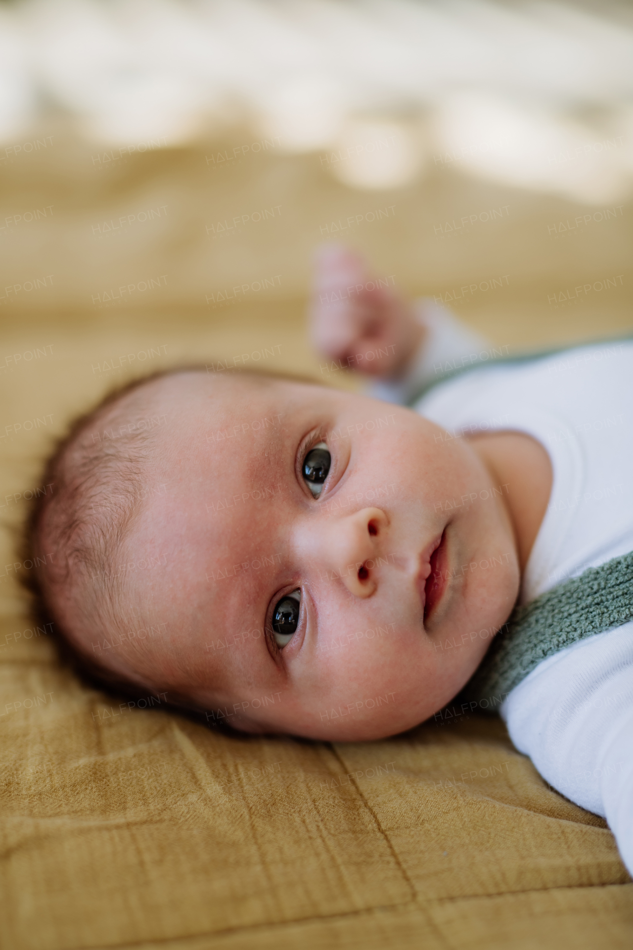 Portrait of a baby lying in a bed.