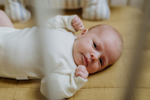 High angle view of newborn baby in little bed.