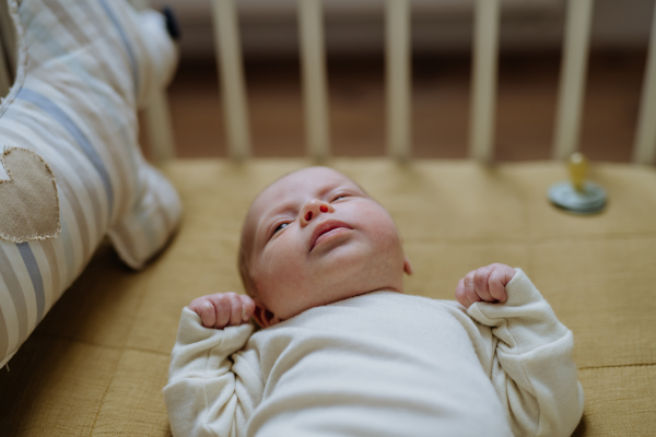 High angle view of newborn baby in little bed.