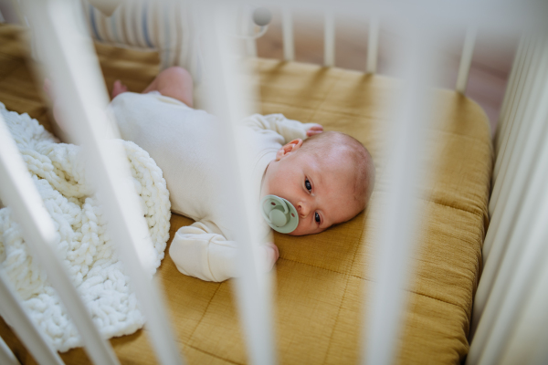 High angle view of newborn baby in little bed.