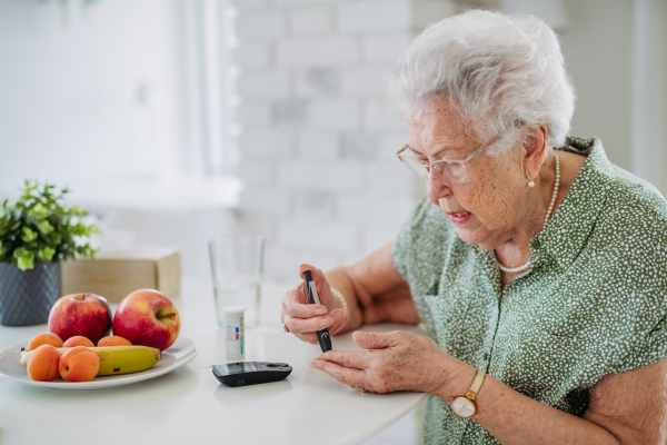 Portrait of diabetic senior patient checking her blood sugar level with fingerstick testing glucose meter. Portrait of senior woman with type 1 diabetes using blood glucose monitor at home.