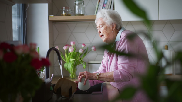 An elderly woman washing dishes at home. Household chores for senior woman.