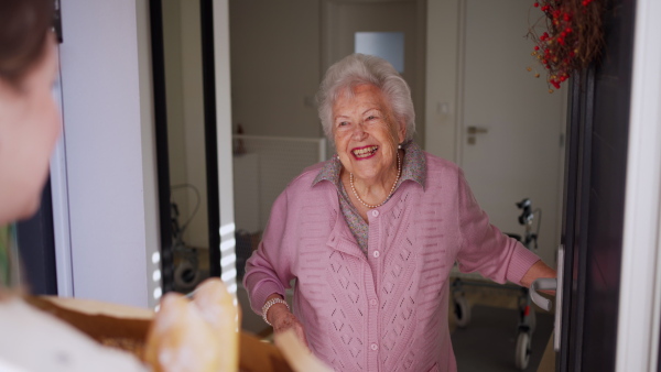 Home grocery delivery for elderly woman. Senior woman ordering groceries online from store. Alternative to in-store shopping, easy way for elderly.