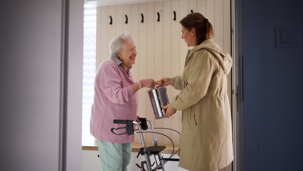 Home caregiver brought cooked meal, lunch in lunch box to elderly woman. Senior woman recovering after surgery, injury, nurse helping her to return to daily life, activities.