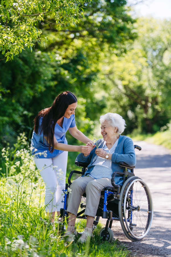 Caregiver and senior woman in wheelchair picking wild flowers. Nurse and elderly woman enjoying a warm day in nursing home, public park.