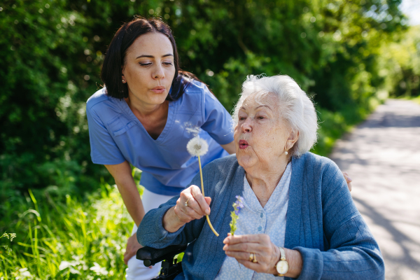 Caregiver and senior woman in wheelchair holding dandelion, picking wild flowers. Nurse and elderly woman enjoying a warm day in nursing home, public park.