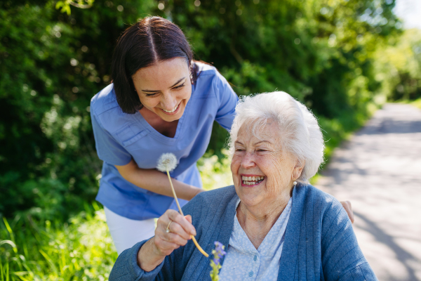 Caregiver and senior woman in wheelchair holding dandelion, picking wild flowers. Nurse and elderly woman enjoying a warm day in nursing home, public park.