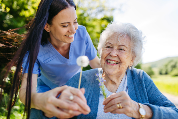 Caregiver and senior woman in wheelchair holding dandelion, picking wild flowers. Nurse and elderly woman enjoying a warm day in nursing home, public park.