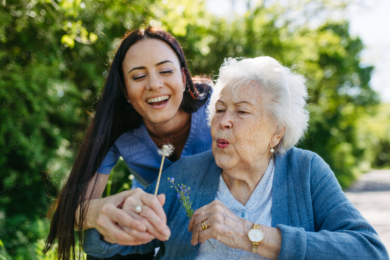 Caregiver and senior woman in wheelchair holding dandelion, picking wild flowers. Nurse and elderly woman enjoying a warm day in nursing home, public park.