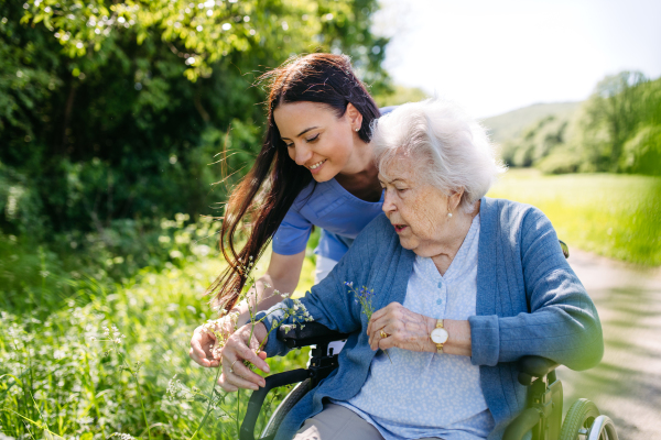 Caregiver and senior woman in wheelchair picking wild flowers. Nurse and elderly woman enjoying a warm day in nursing home, public park.