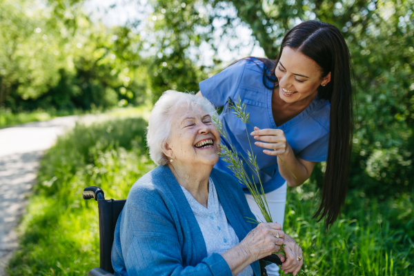 Caregiver and senior woman in wheelchair picking wild flowers. Nurse and elderly woman enjoying a warm day in nursing home, public park.