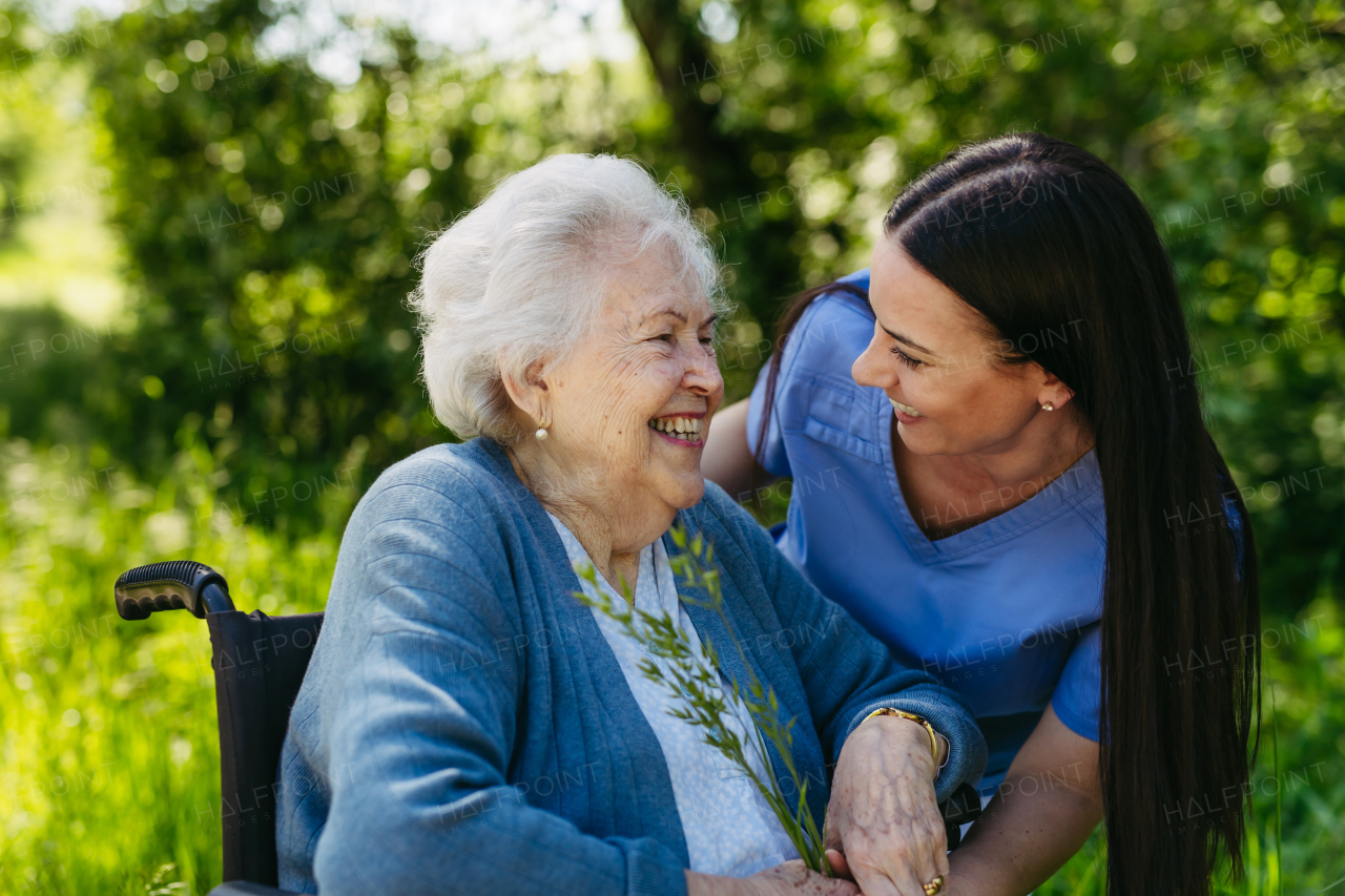 Caregiver and senior woman in wheelchair picking wild flowers. Nurse and elderly woman enjoying a warm day in nursing home, public park.