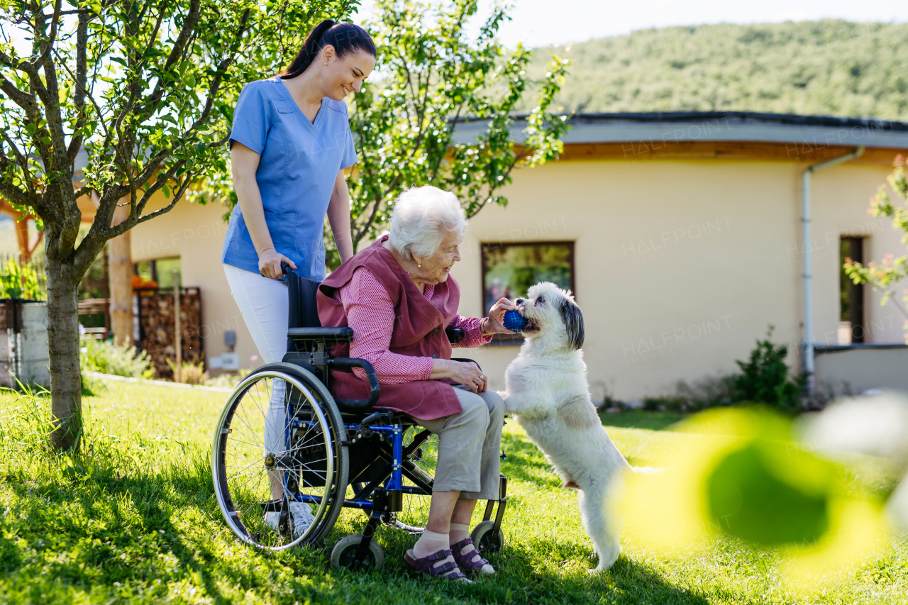 Female caregiver showing cute dog to senior woman in wheelchair. Nurse and elderly woman enjoying a warm day outdoors, in garden.