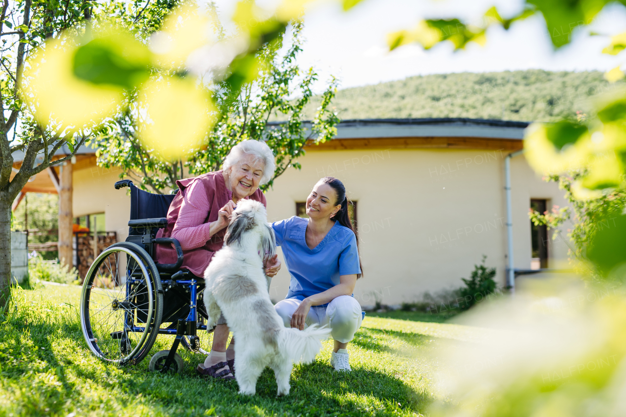 Female caregiver showing cute dog to senior woman in wheelchair. Nurse and elderly woman enjoying a warm day outdoors, in garden.