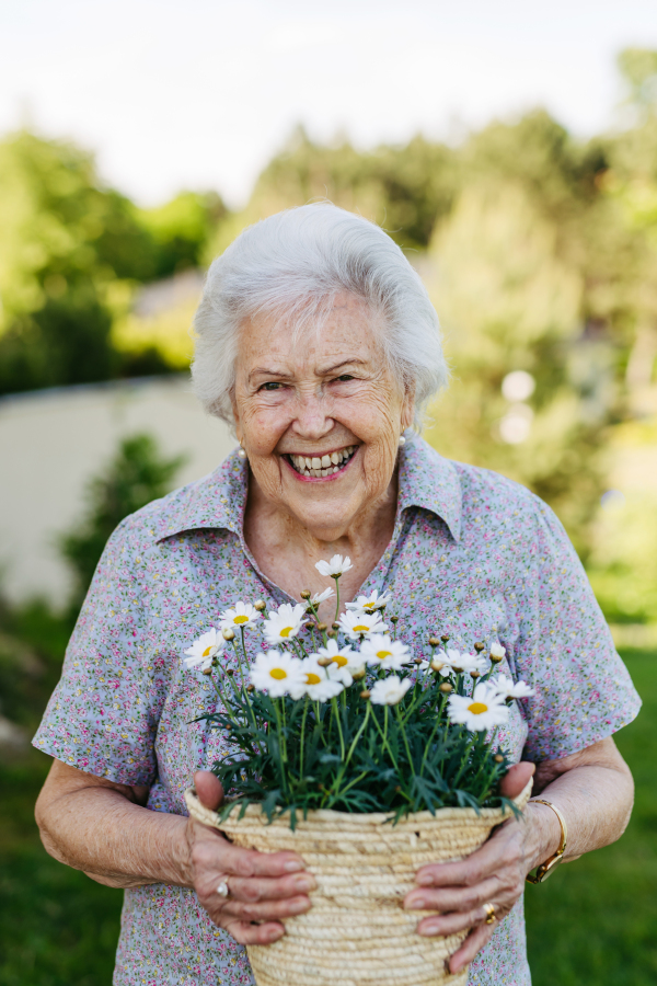 Portrait of beautiful older woman holding basket pot with daises, smiling. Vertical shot.