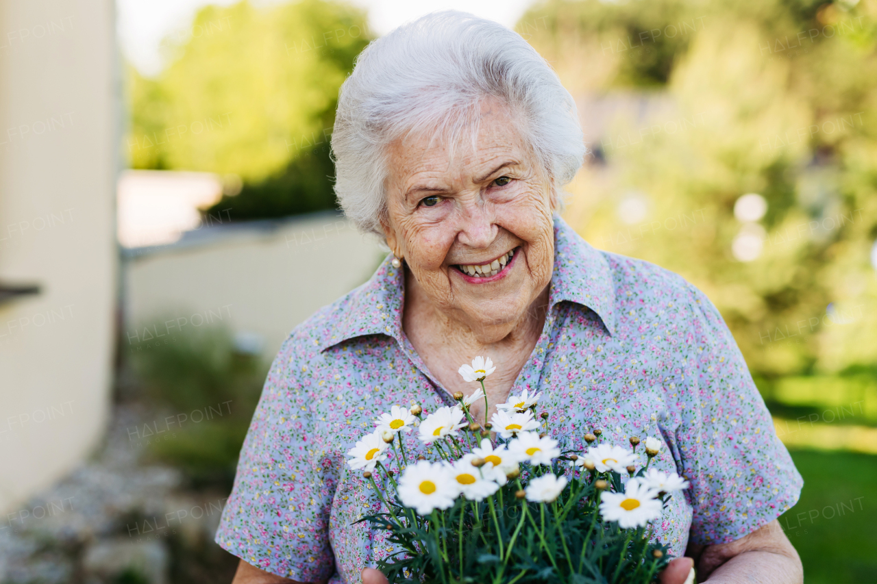 Portrait of beautiful older woman holding basket pot with daises, smiling. Vertical shot.