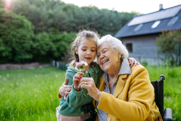 Granddaughter spending time with elderly grandma, picking widlflowers. Senior lady in wheelchair spending time in nature. Weekend in cottage.