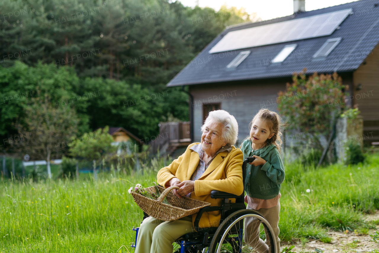 Granddaughter spending time with elderly grandma, picking widlflowers. Senior lady in wheelchair spending time in nature. Weekend in cottage.