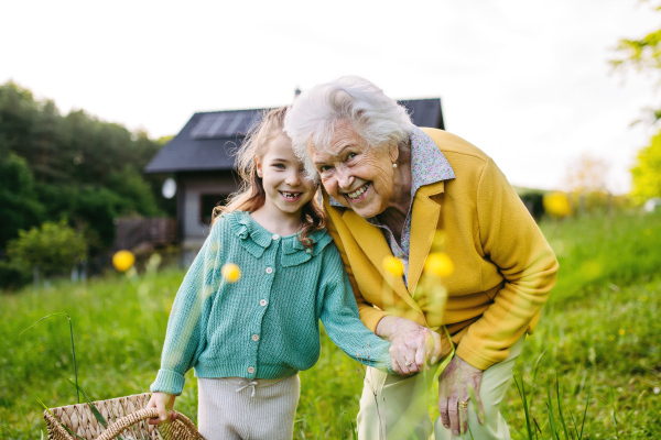 Granddaughter spending time with elderly grandma, picking wildflowers. Senior lady spending time in nature. Weekend in cottage.