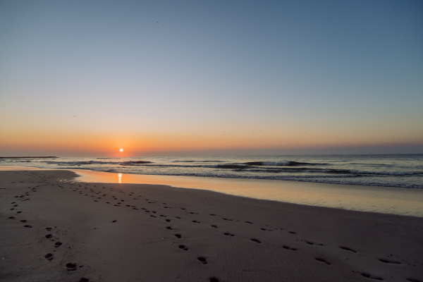 Landscape with sea sunset on a beach.