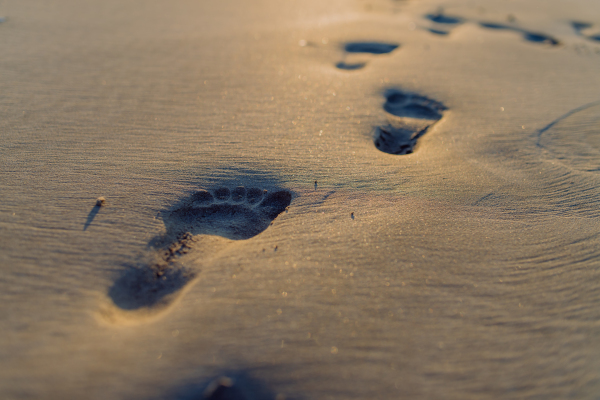 Close-up of a footprints on a beach.