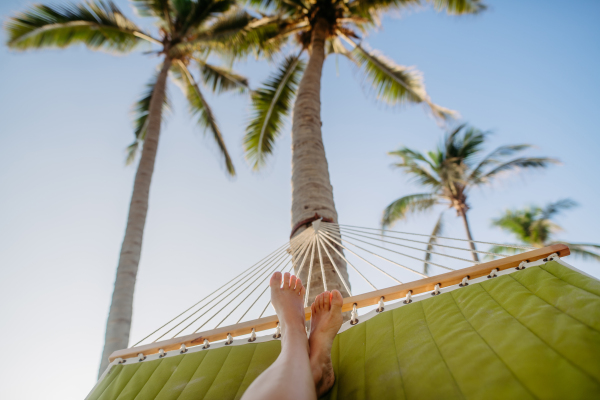 Close-up of feet in a hammock, palm trees in background, vacation concept.