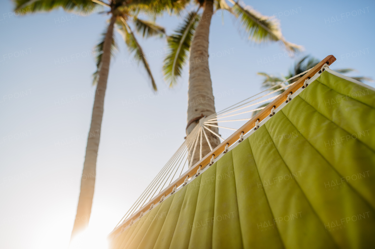 Close up of hammock hanging on palms, concept of summer exotic holiday.