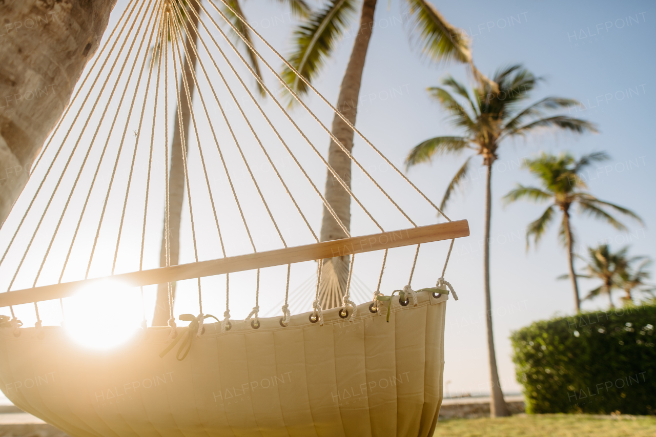 Close up of hammock hanging on palms, concept of summer exotic holiday.