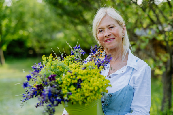 A happy senior woman florist carrying basket with flowers outdoors in garden.