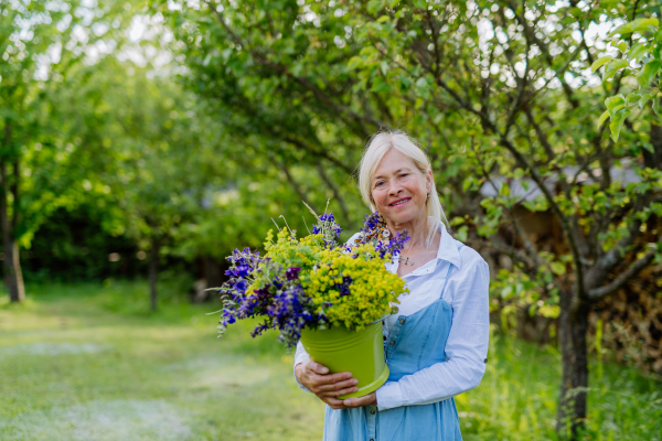 A happy senior woman florist carrying basket with flowers outdoors in garden.